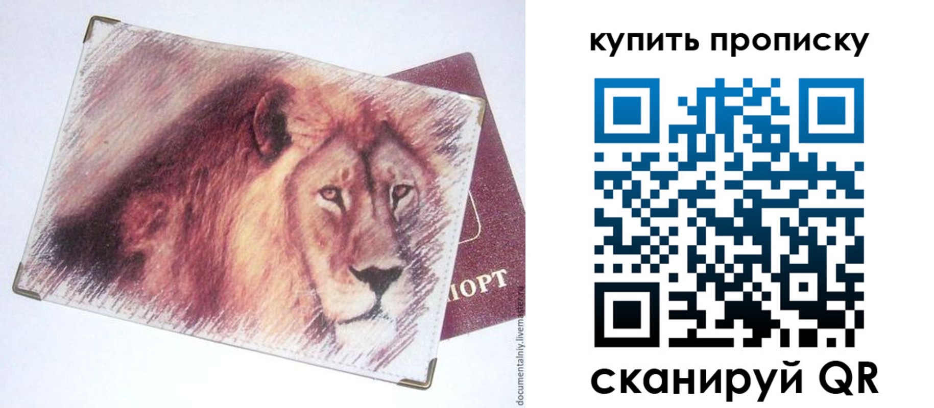 прописка паспорт в Егорьевске